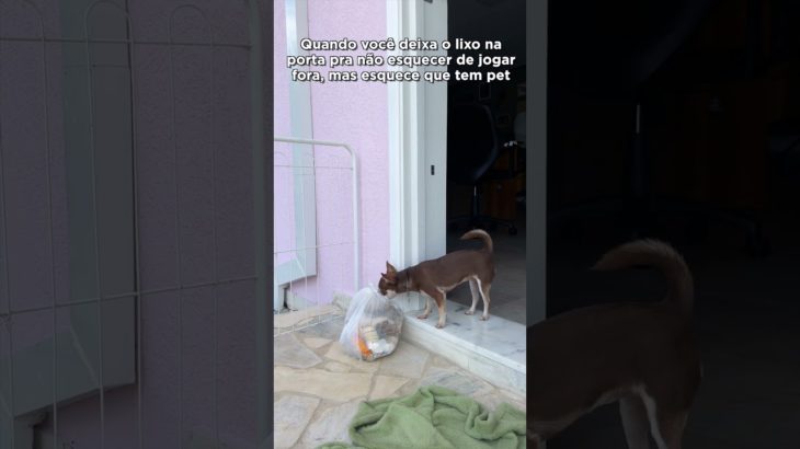 TREND DO LIXO COM PET