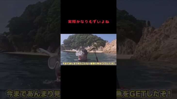 実際かなりむずいよね #fischers #fischer #フィッシャーズ #フィッシャーズ切り抜き