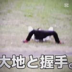 大地と握手💀💀💀#フィッシャーズ #大地と握手 #phonk