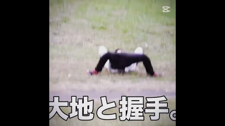 大地と握手💀💀💀#フィッシャーズ #大地と握手 #phonk