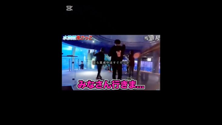 最後切り取り忘れてた()#シルクロード #シルクロードs #フィッシャーズ #フィッシャーズ切り抜き #鬼ごっこ #水族館 #てんぷれ #テンプレート #テンプレ #テンプレート使用 #テンプレ使用