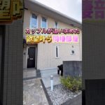 待望のペット可物件‼️ #shorts #ルームツアー #賃貸 #ペット #不動産