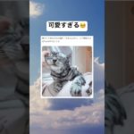 最後まで見て🥺　#shorts #おもしろ #猫 #ペット #癒し
