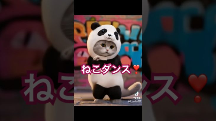 ねこダンス❣️#ねこ#ダンス#可愛い#ペット#shorts