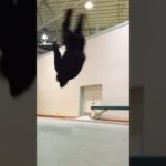 空中回転！？#フィッシャーズ #シルクロード #shorts