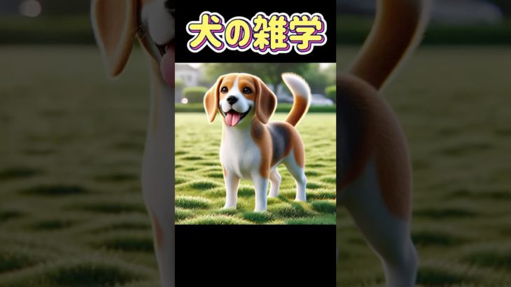 犬の雑学　#shorts#犬#わんちゃん#dog#雑学#動物#ペット#bgm#ai