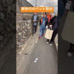 新時代のペット散歩　ラジコン散歩　街歩き　関宿　面白い　爆笑　令和の暇つぶし　遊び方　マイベストフレンド　おもしろ動画　天才のアイデア　カリスマの生き様　現代アート　芸術家　奇抜な発想　新展開　すごい
