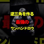 ダンベルロウイングの基礎#筋トレ #ボディメイク #ダイエット