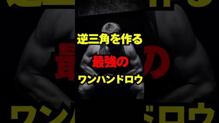 ダンベルロウイングの基礎#筋トレ #ボディメイク #ダイエット