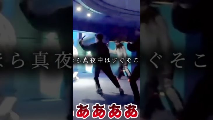 シルクロード！？ #シルクロード #フィッシャーズ