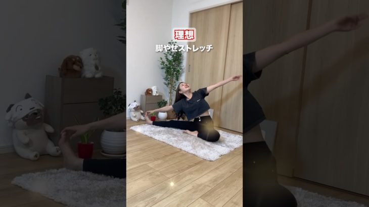 これがダイエットの現実！