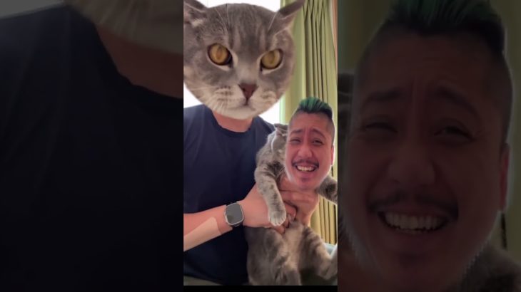 流行ってるやつ。#ペットスワップ