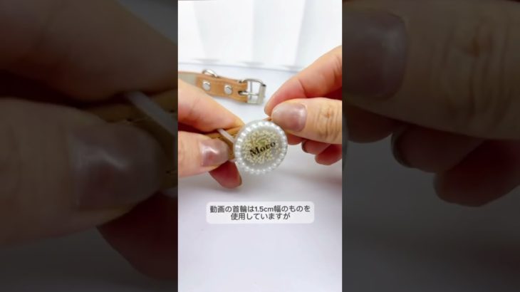 ペットの揺れない迷子札🐾もしもの時のために着けませんか？😊 #ペット # #ハンドメイド #レジン #アクセサリー