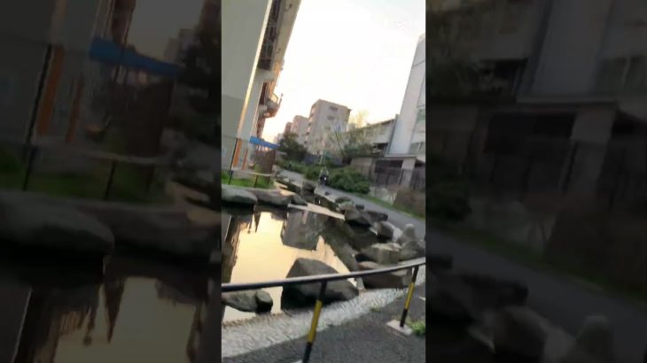 フィッシャーズさんが行ってた、水上アスレチック