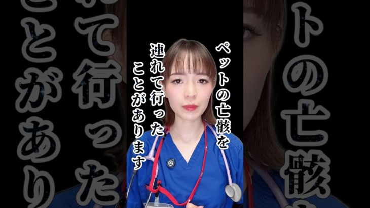 ペットの死で休める？ #病棟看護師 #看護師 #看護師あるある #ペット