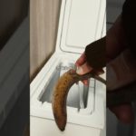 凍るゴミ箱があればペットシーツやおむつの臭くない#便利グッズ#ゴミ箱#凍るゴミ箱#暮らし#アラフォーの暮らし#アラフォー#ペットと暮らす家