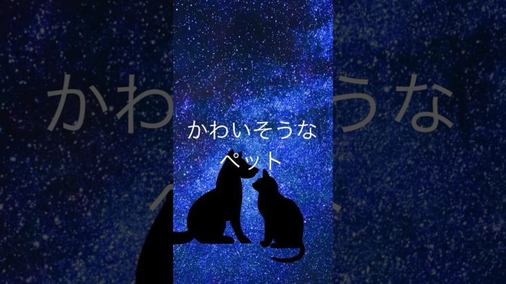 【ペットは、かわいそうだと思われることを嫌がる】#ペット