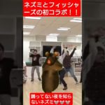 フィッシャーズとネズミのコラボ！！