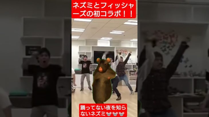 フィッシャーズとネズミのコラボ！！