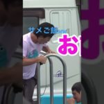 ザカオvsモトキ#フィッシャーズ#切り抜き#ドラゴンボール#サメ