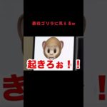 最後ゴリラに見えるw #fischers #fischer #フィッシャーズ #フィッシャーズ切り抜き