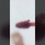 あなたにメイクをします.ᐟ.ᐟ長いかもw#capcut #コスメ #生活音 #るかの部屋 #伸びろ#メイク