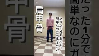 【肩甲骨】たった1分で変わる！簡単なのにガチすごい！#宅トレ#自宅トレーニング#宅トレダイエット#健康トレーニング#健康習慣#美トレ#健トレ#ダイエット#エクササイズ#ストレッチ