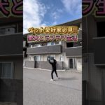 まじでペット好きにオススメしたい1部屋😍 #shorts #ペット #賃貸 #ルームツアー