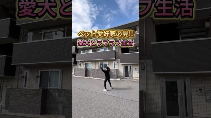 まじでペット好きにオススメしたい1部屋😍 #shorts #ペット #賃貸 #ルームツアー