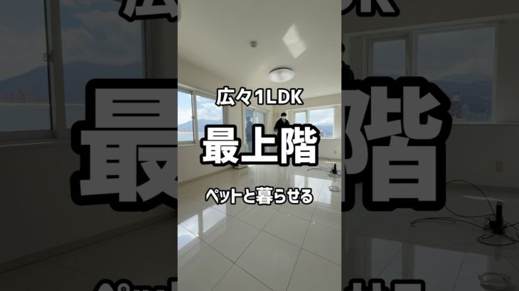 【札幌お部屋探し】ペットと暮らせる広々1LDKが最上階に登場!!#札幌不動産 #札幌 #札幌お部屋探し #札幌一人暮らし #株式会社トップセンス