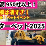 日本最大級！インターペット東京2025過去最高950社から選ぶオススメ！