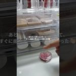 34人はやばい‼️🫣💞#生活音 #コスメ #メイク #jc