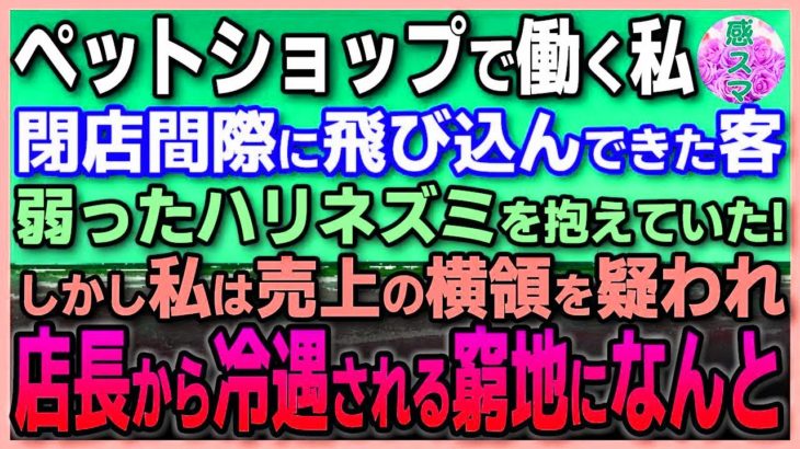 【感動する話】ペットショップの店員として働く私。閉店前、ぐったりとしたハリネズミを抱えた男性が駆け込んできた。「どうしても助けたいんです！」 #スカッと感動 #いい話 #朗読 #泣ける話 #8