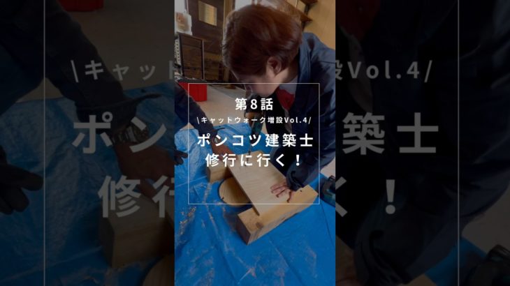 第8話　ポンコツ建築士　修行に行く！　#ペット #ペットのいる暮らし #猫 #猫のいる暮らし #キャットウォーク #diy