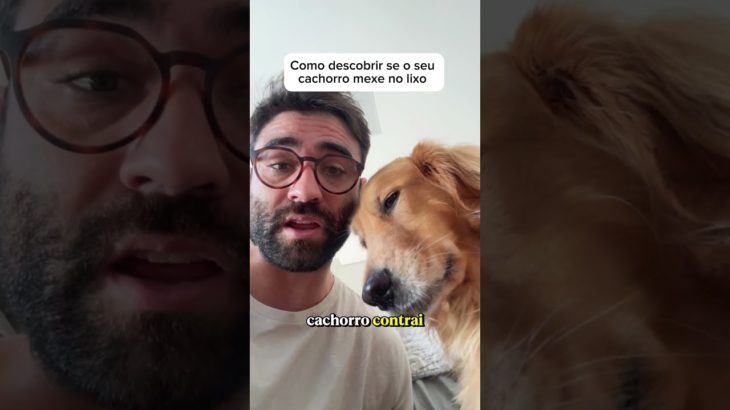 Aprenda a fazer seu Pet confessar #goldenretriever #pets #comedia #humor #cachorros #retreiver