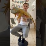 Boom 💥 #pets #foryou #explore #pet