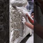 Car Dealership Makes Pet Cars 🐶