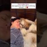 Love to all the pet parents out there 🫶❤️Appreciate all their efforts and unconstitutional #meme