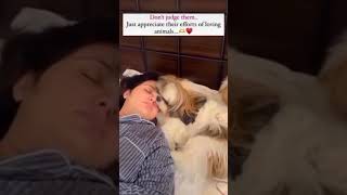 Love to all the pet parents out there 🫶❤️Appreciate all their efforts and unconstitutional #meme