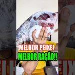 MELHOR PEIXE ✅ótima ração! #cachorro #cachorros #pet #pets #petshop #dog #dogs #pitbull #pug #dicas