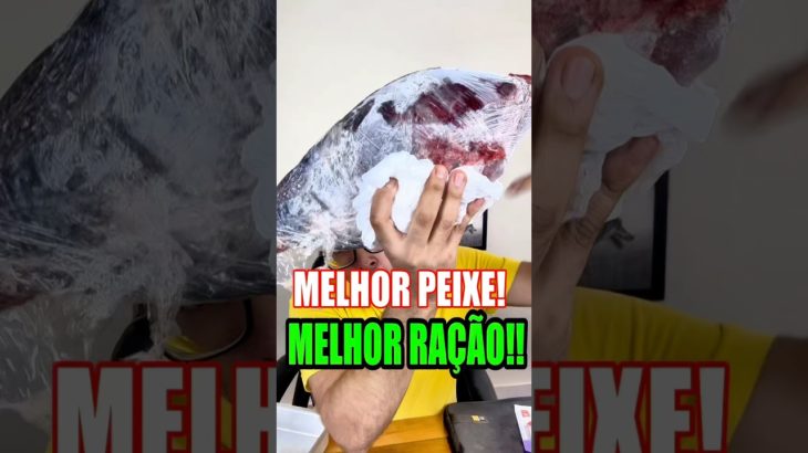 MELHOR PEIXE ✅ótima ração! #cachorro #cachorros #pet #pets #petshop #dog #dogs #pitbull #pug #dicas