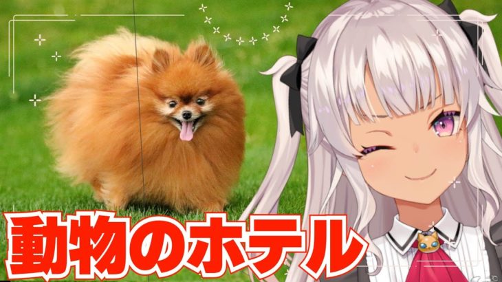 ┊Pets Hotel┊ペットお預かりしますよ！！安いよ！【魔使マオ／にじさんじ】