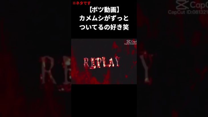 シルクロードにカメムシが…　 #バズれ #合わない #テンプレ使用 #フィッシャーズ #シルクロード #シルク #ネタ　#capcut #おすすめにのりたい #カメムシ