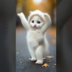 ふわふわ猫ダンス #dance #cat #trending #shorts #funny #cute #可愛い #ペット