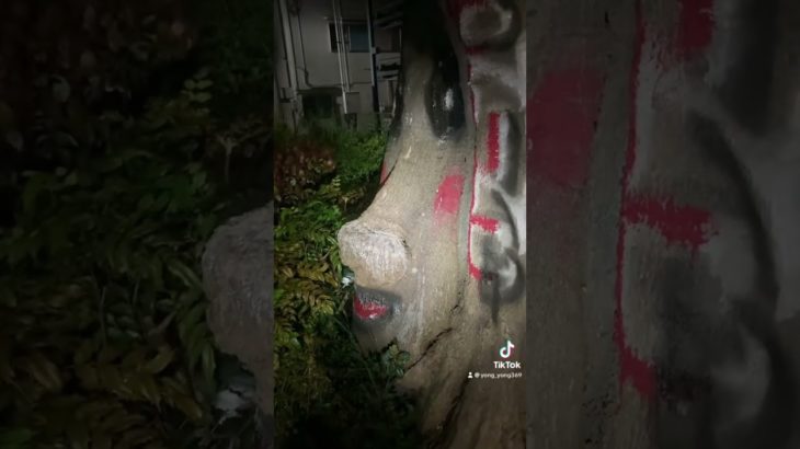 確かに顔だ🥸笑#顔 #落書き #メイク#木 #サイクリング #夜 #面白い #funny #fyp #兵庫県