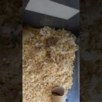 巣作り上手！#ハムスター #ジャンガリアンハムスター #hamstar #小動物 #ペット #イエロープティング #プティングハムスター