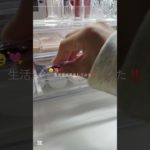 ある意味恐怖笑🌀🌀#逆再生 #生活音 #コスメ #メイク #jc