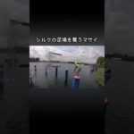 これおもろい笑#フィッシャーズ切り抜き #シルクロードs #shorts #チャンネル登録お願いします