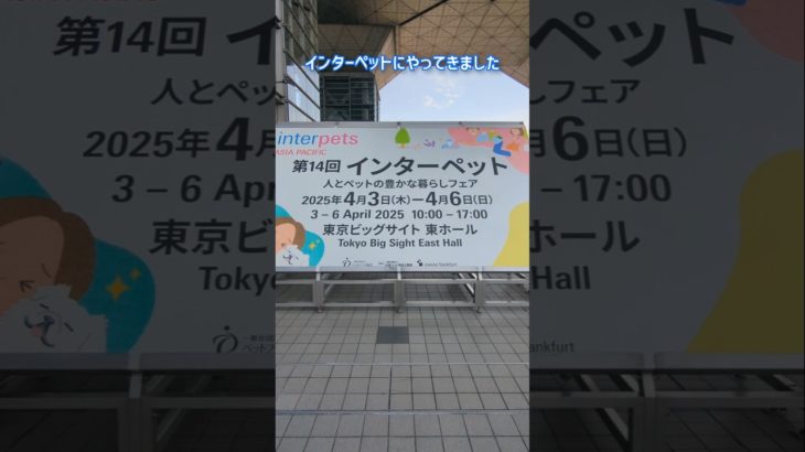 インターペット会場に到着 #シーズー #shihtzu #dog #犬 #イベント