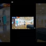 シルク神回避の瞬間#short#フィッシャーズ#切り抜き